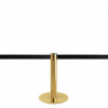 Mini Gurtpfosten Gold - 2,5m - MASTER MINI 